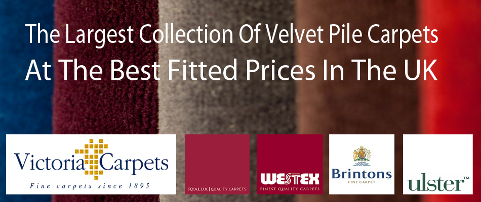 Largest Collection Of Velvet Pile Carpets In UK 
